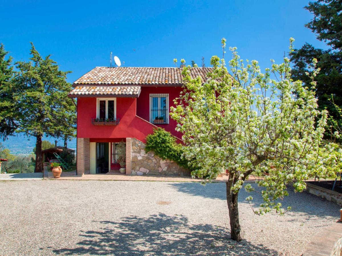 Holiday Home La Letizia By Interhome Collemancio Exteriér fotografie